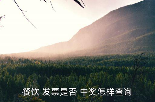 餐飲 發(fā)票是否 中獎(jiǎng)怎樣查詢(xún)