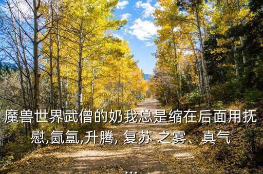 魔獸世界武僧的奶我總是縮在后面用撫慰,氤氳,升騰, 復(fù)蘇 之霧、真氣...