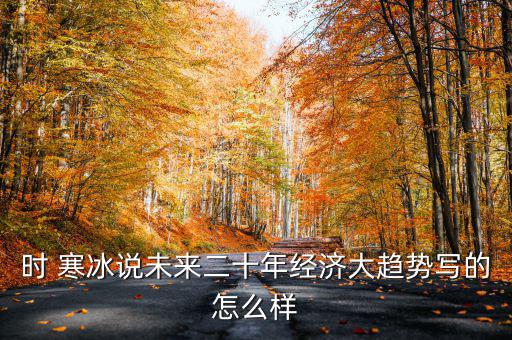 時(shí) 寒冰說(shuō)未來(lái)二十年經(jīng)濟(jì)大趨勢(shì)寫(xiě)的怎么樣