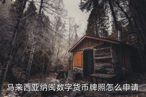 馬來西亞納閩數字貨幣牌照怎么申請