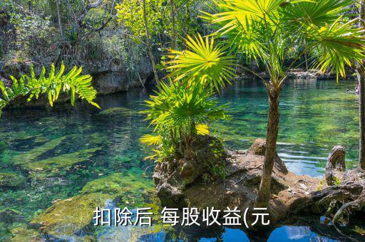 每股稅后利潤(rùn)怎么算,第二集:每股收入與每股盈利的關(guān)系