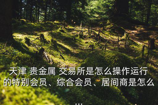 天津 貴金屬 交易所是怎么操作運(yùn)行的特別會(huì)員、綜合會(huì)員、居間商是怎么...