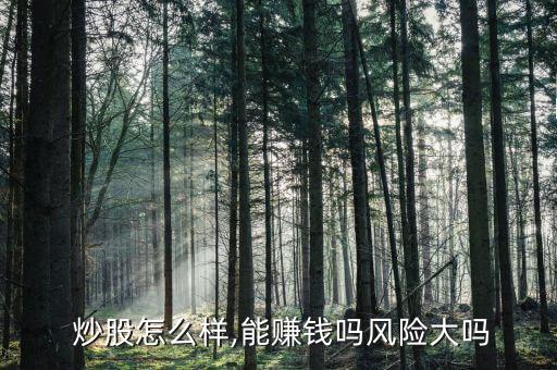  炒股怎么樣,能賺錢嗎風(fēng)險大嗎