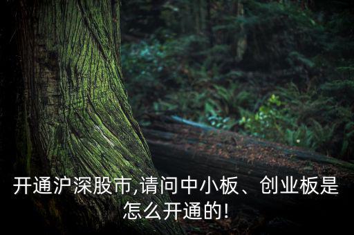 開通滬深股市,請問中小板、創(chuàng)業(yè)板是怎么開通的!