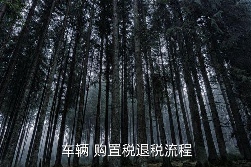  車輛 購(gòu)置稅退稅流程