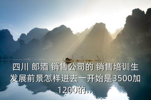 郎酒集團(tuán)銷(xiāo)售待遇怎么樣,瀘州郎酒工廠薪資待遇有何不同?