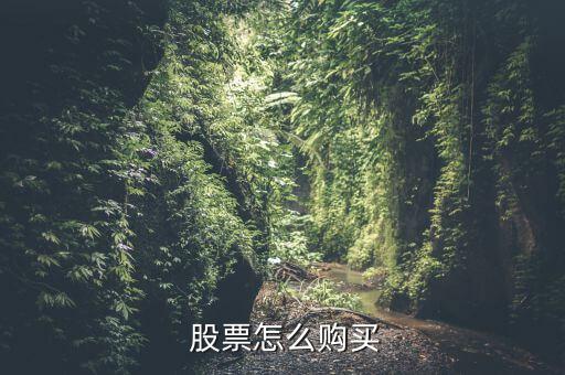  股票怎么購(gòu)買(mǎi)