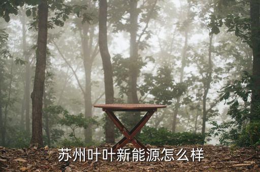 蘇州二葉怎么樣,?？粕究七x拔性考試