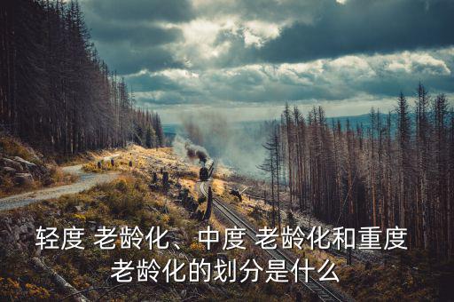 輕度 老齡化、中度 老齡化和重度 老齡化的劃分是什么