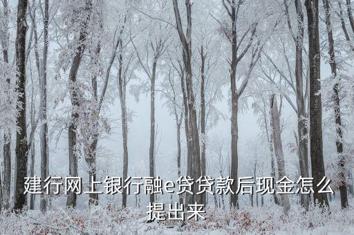  建行網上銀行融e貸貸款后現(xiàn)金怎么提出來