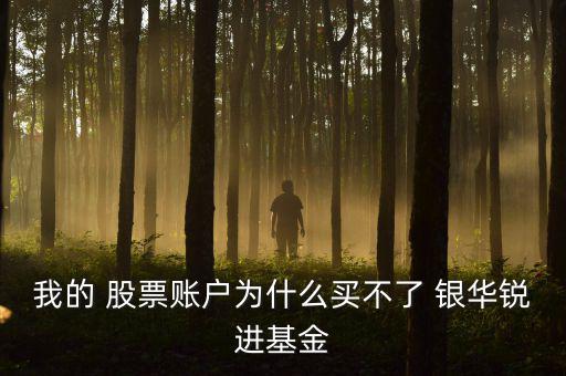 我的 股票賬戶為什么買(mǎi)不了 銀華銳進(jìn)基金
