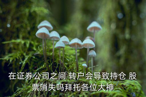在證券公司之間 轉戶會導致持倉 股票消失嗎拜托各位大神