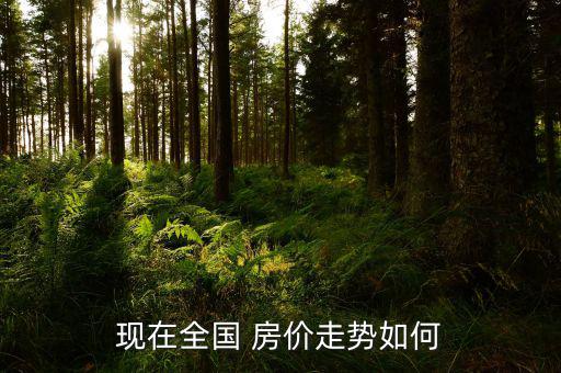中國房價怎么了,房地產開發(fā)商與政府合作推出新加坡大選