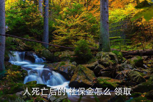 人死后社保怎么領(lǐng)取,如何使用社?？?!