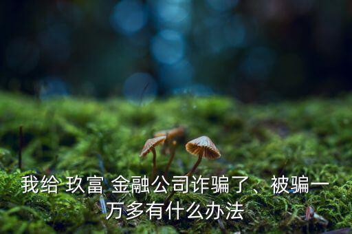 我給 玖富 金融公司詐騙了、被騙一萬多有什么辦法
