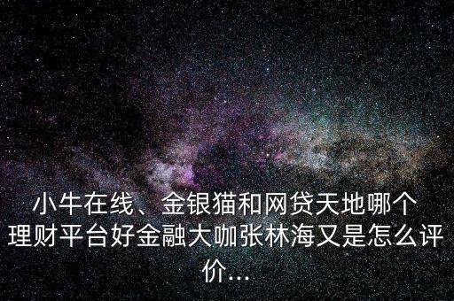  小牛在線、金銀貓和網(wǎng)貸天地哪個 理財平臺好金融大咖張林海又是怎么評價...