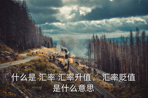 什么是 匯率 匯率升值、 匯率貶值是什么意思