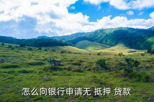 免抵押貸款是怎么貸,抵押貸款、擔(dān)保貸款一般略高于-0貸款