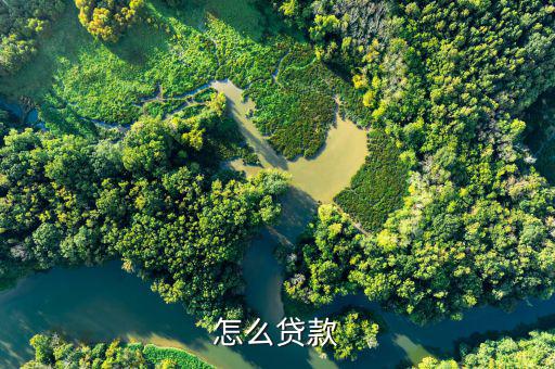 怎么借貸,小曼app-優(yōu)花花貸利率低、放款快、安全等特點(diǎn)