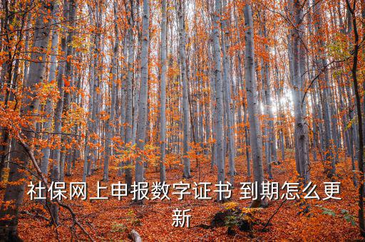 龍灣社保登記證到期怎么更換,社?？ㄟ^期怎么辦?可以這樣做!