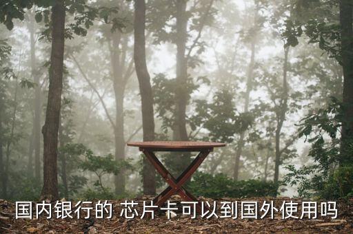 國內銀行的 芯片卡可以到國外使用嗎