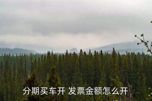 分期買車開(kāi) 發(fā)票金額怎么開(kāi)