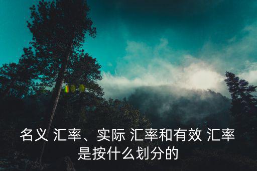 名義 匯率、實際 匯率和有效 匯率是按什么劃分的