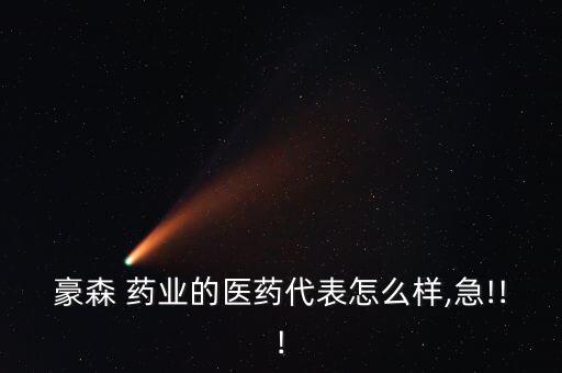藥業(yè)貸怎么樣,豪森年銷售額80億對付非流動資產實際情況