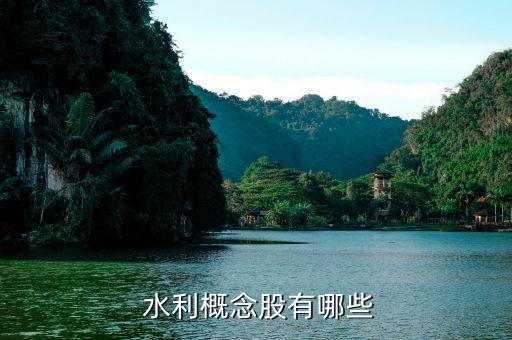 安徽水利股票怎么樣,水利股份、證券股龍頭股名單出爐