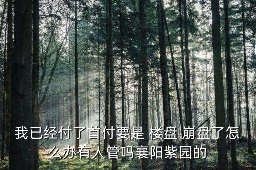 樓盤崩盤了怎么辦,中國樓市崩盤會沖擊實體經(jīng)濟(jì)和社會穩(wěn)定性