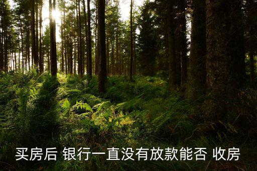 銀行怎么收房,銀行買(mǎi)受人不能及時(shí)支付房款貸款就得得貸款