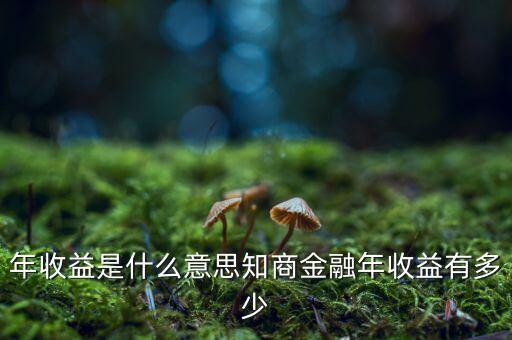 資金占用年收益是什么意思，利息支出中有個(gè)資金占用費(fèi)這個(gè)是什么意思
