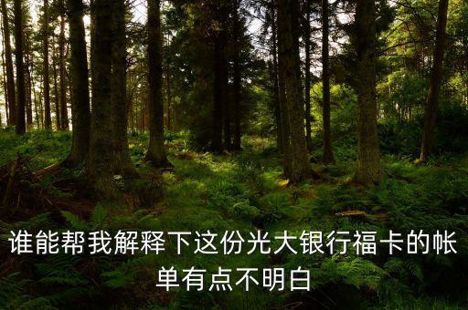 光大的賬單明細(xì)都什么意思，誰能幫我解釋下這份光大銀行?？ǖ膸斡悬c不明白