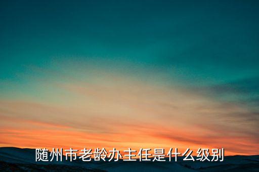 全國老齡辦副主任什么級別，全國老齡委辦公室副主任 什么級別