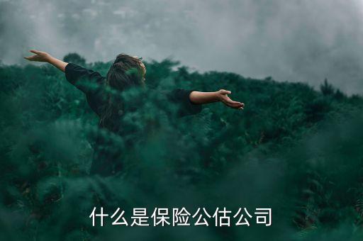 什么是承保公估，保險中的公估是什么概念