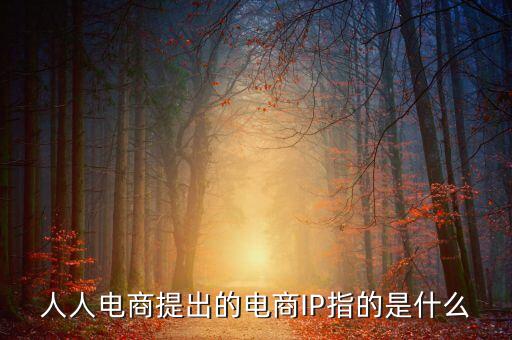 什么是ip經(jīng)濟(jì)，人人電商提出的電商IP指的是什么