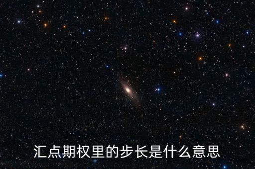 匯點(diǎn)期權(quán)里的步長是什么意思