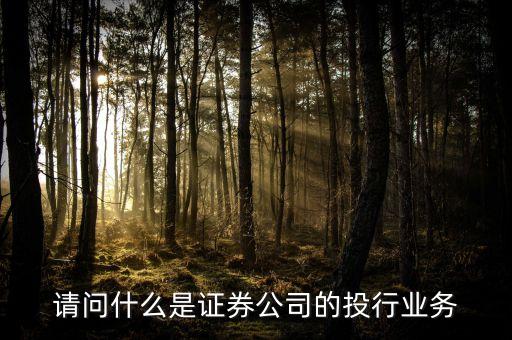 什么是類(lèi)投行業(yè)務(wù)，請(qǐng)問(wèn)什么是證券公司的投行業(yè)務(wù)