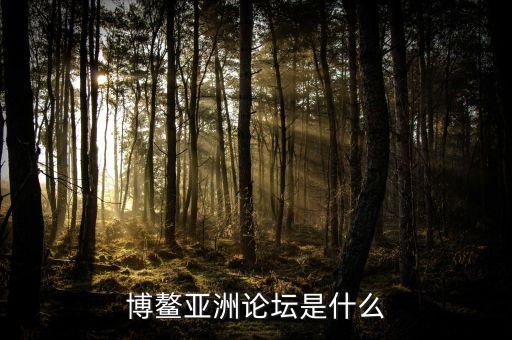 博鰲亞洲論壇是干什么的，博鰲亞洲論壇是什么