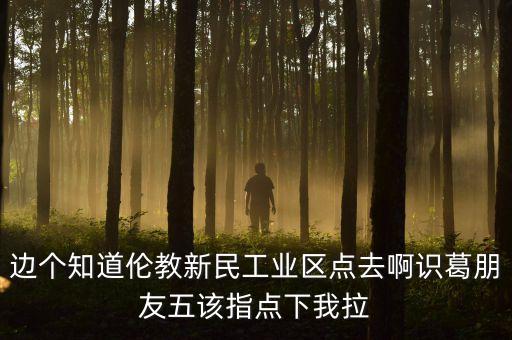 李葛衛(wèi)為什么入新民科技，邊個知道倫教新民工業(yè)區(qū)點去啊識葛朋友五該指點下我拉