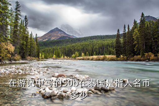 國金50b是什么，國金證券券商代碼是什么