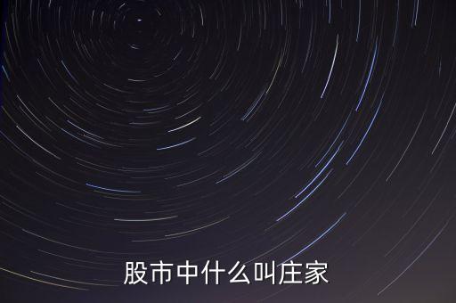 什么莊家股票，股票的莊家是指