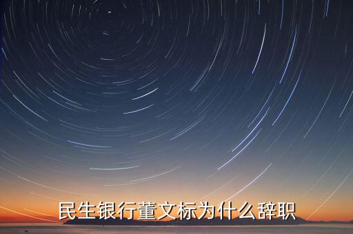 董文標現在是什么職務，民生銀行董文標為什么辭職