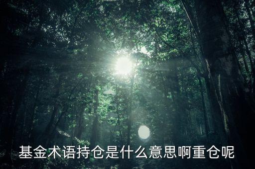 etf持倉(cāng)是什么意思，基金術(shù)語(yǔ)持倉(cāng)是什么意思啊重倉(cāng)呢