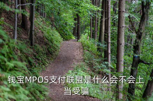 恒寶mpos是什么，錢寶MPOS支付聯(lián)盟是什么會(huì)不會(huì)上當(dāng)受騙