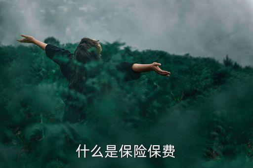 什么是保險保費(fèi)