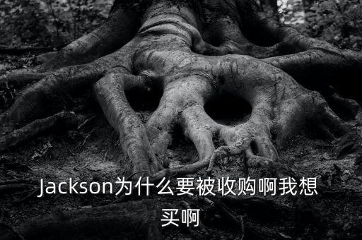 Jackson為什么要被收購(gòu)啊我想買(mǎi)啊