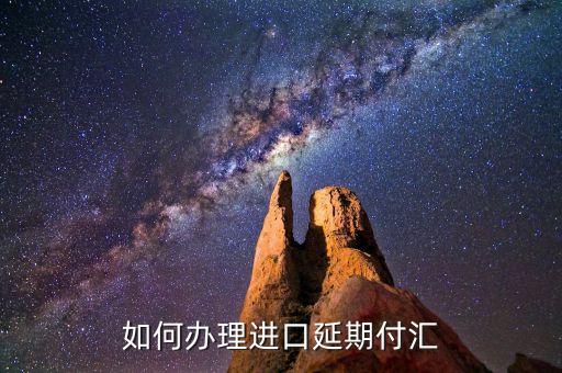 什么是進口付匯，什么是跨境貿(mào)易人民幣結(jié)算啊