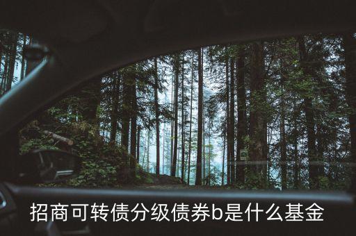 轉(zhuǎn)債b級是什么，招商可轉(zhuǎn)債分級債券b 場內(nèi)買入 場外賣出什么意思