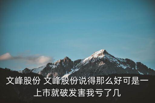 文峰股份是什么公司，文峰股份怎么樣